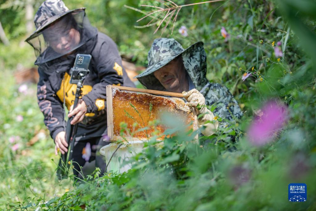 水果机注册送金币